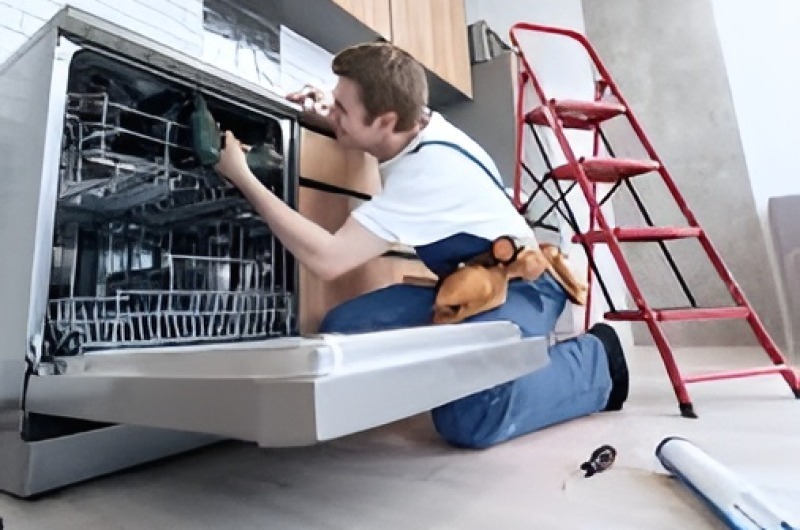 Dishwasher repair in Lake Los Angeles
